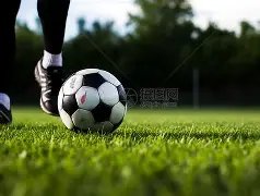 体重管理秘,我的高效运,动之道,澳客,澳客官方网,aoke,okooo