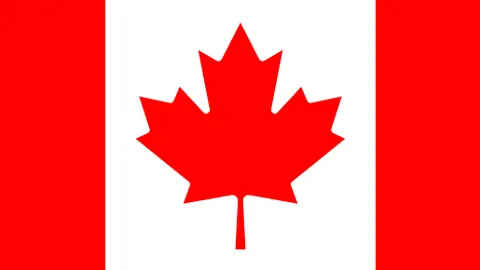 卡塔尔世界杯亚洲区40强赛2025年重启时间公布